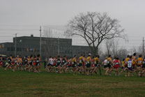 2009-11-21_11-59-12.jpg