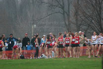 2009-11-21_10-56-06.jpg