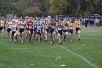 2009-10-22_16-31-44.jpg