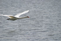 2009-10-10_11-50-37.jpg
