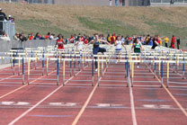 2009-04-18_10-38-44.jpg