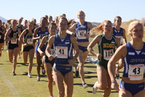 2009-10-31_14-02-20.jpg