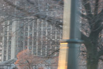 2009-11-26_07-53-09.jpg