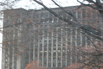 2009-11-26_07-53-10.jpg