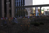 2009-11-26_08-05-39.jpg