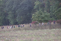 2009-10-03_11-15-30.jpg