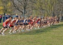 WHAC_Women_IKE3424.jpg