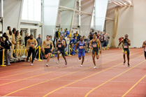 MAC_0373_IKE9860.jpg