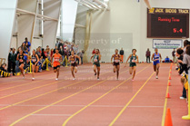 MAC_0378_IKE9869.jpg