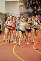 MAC_0247_IKE9710.jpg