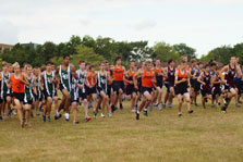 DSC04645.jpg