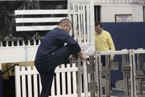 2010-02-20_11-29-26.jpg