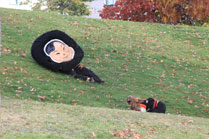 2010-10-23-10-14-01.jpg