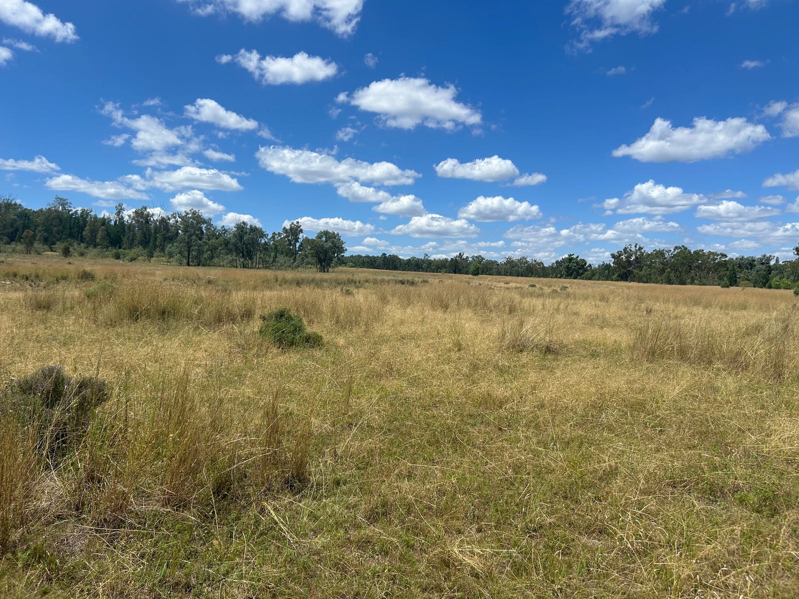 Rural Property for Sale: Bonshaw, NSW 2361