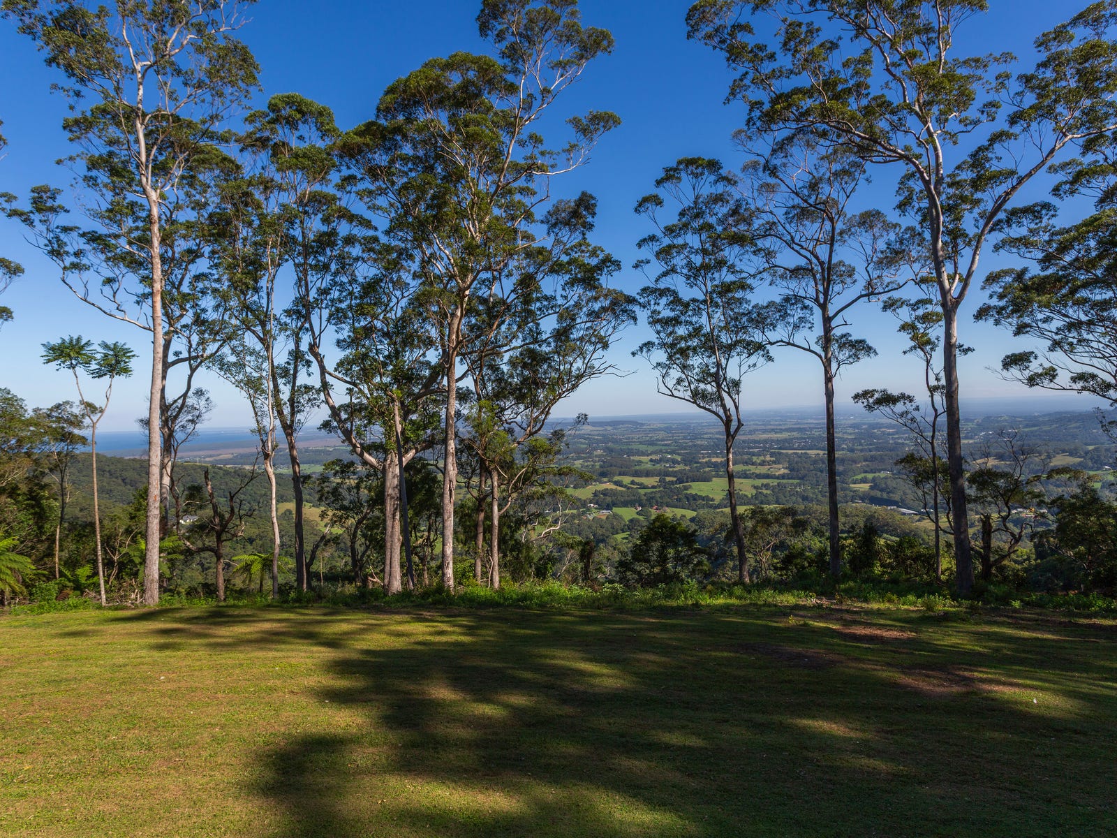 Rural Property for Sale: Broughton Vale, NSW 2535