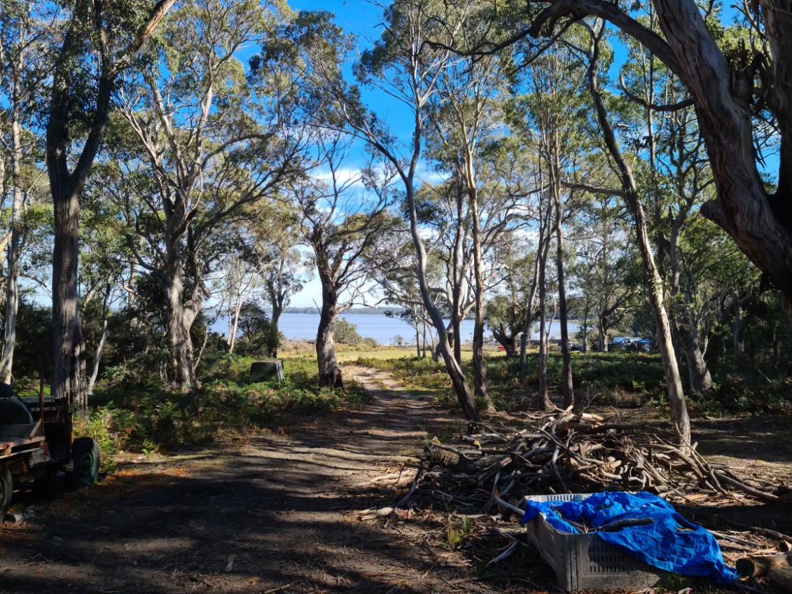 rural-properties-for-sale-in-tas