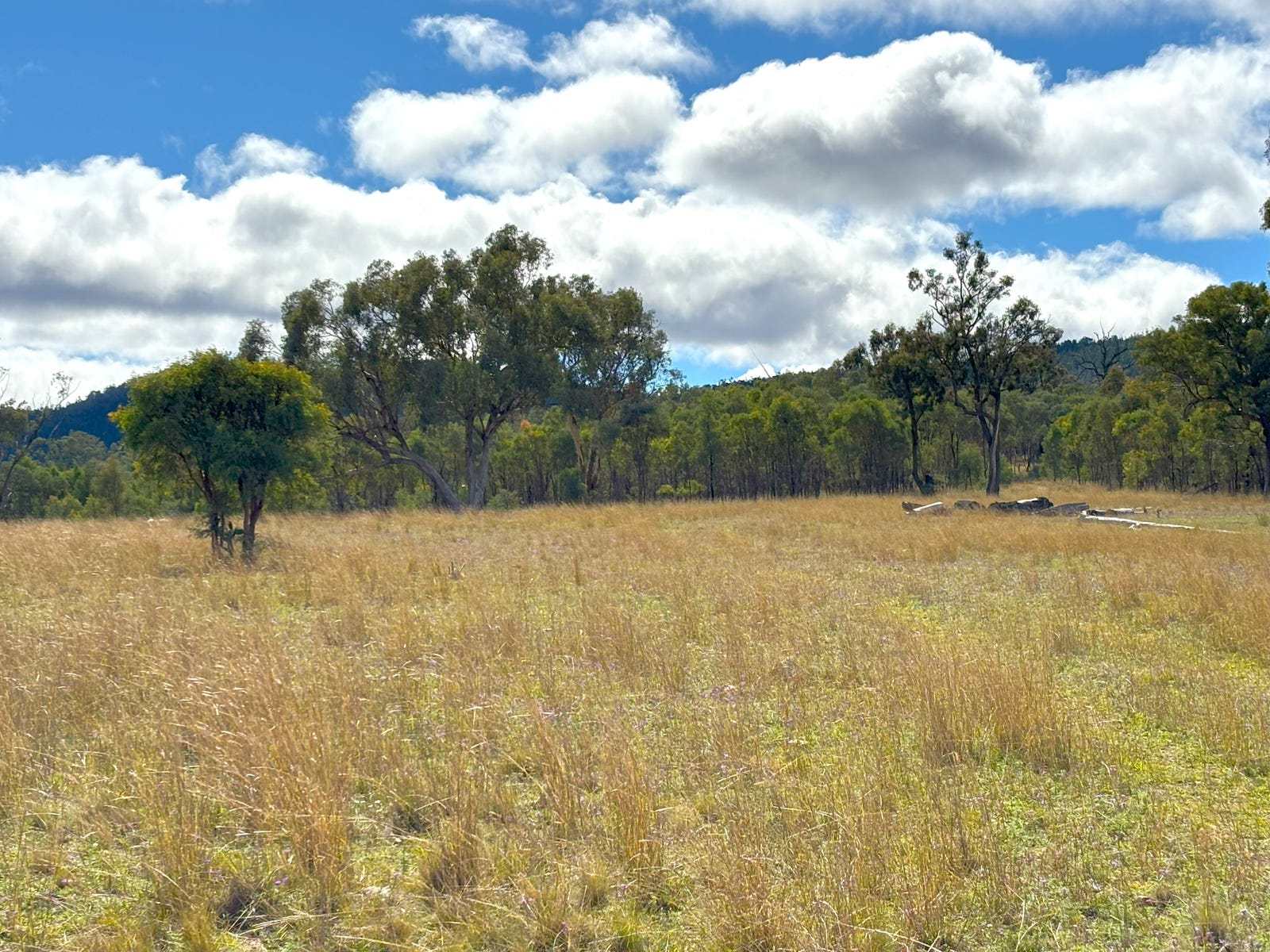 Rural Property for Sale: Terrica, Qld 4387