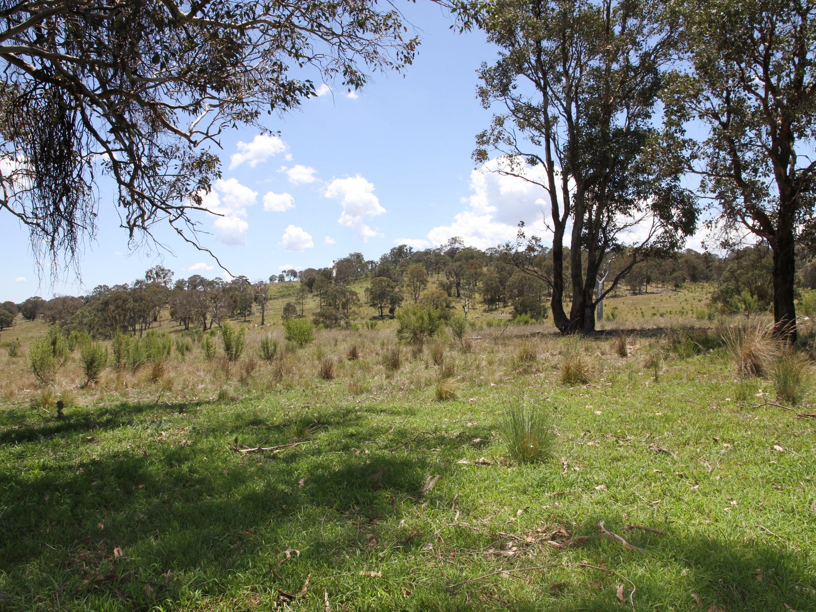 Rural Property for Sale: Pyramul, NSW 2850