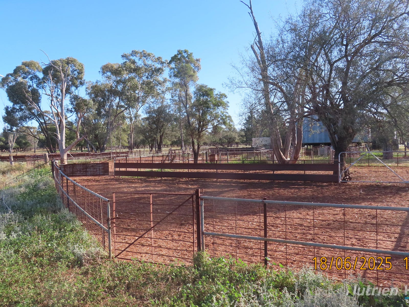 Rural Property for Sale: Walgett, NSW 2832