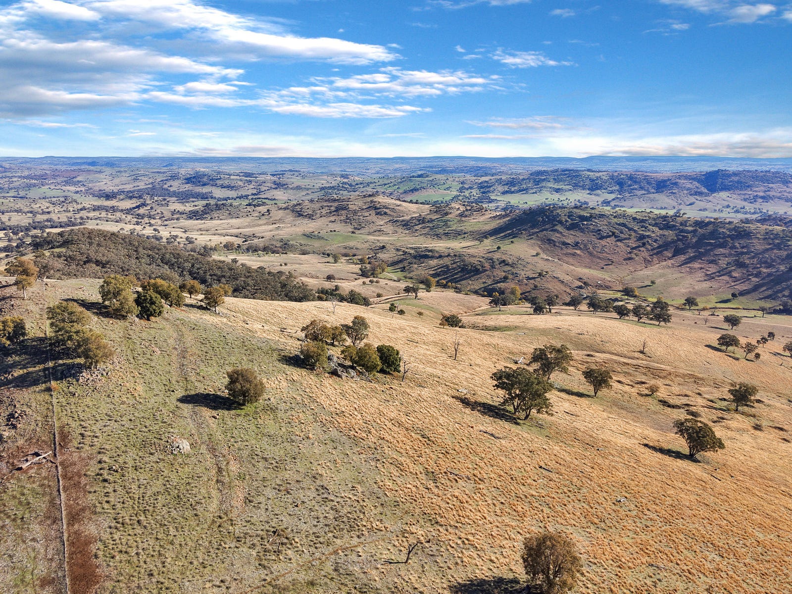 Rural Property for Sale: Reids Flat, NSW 2586