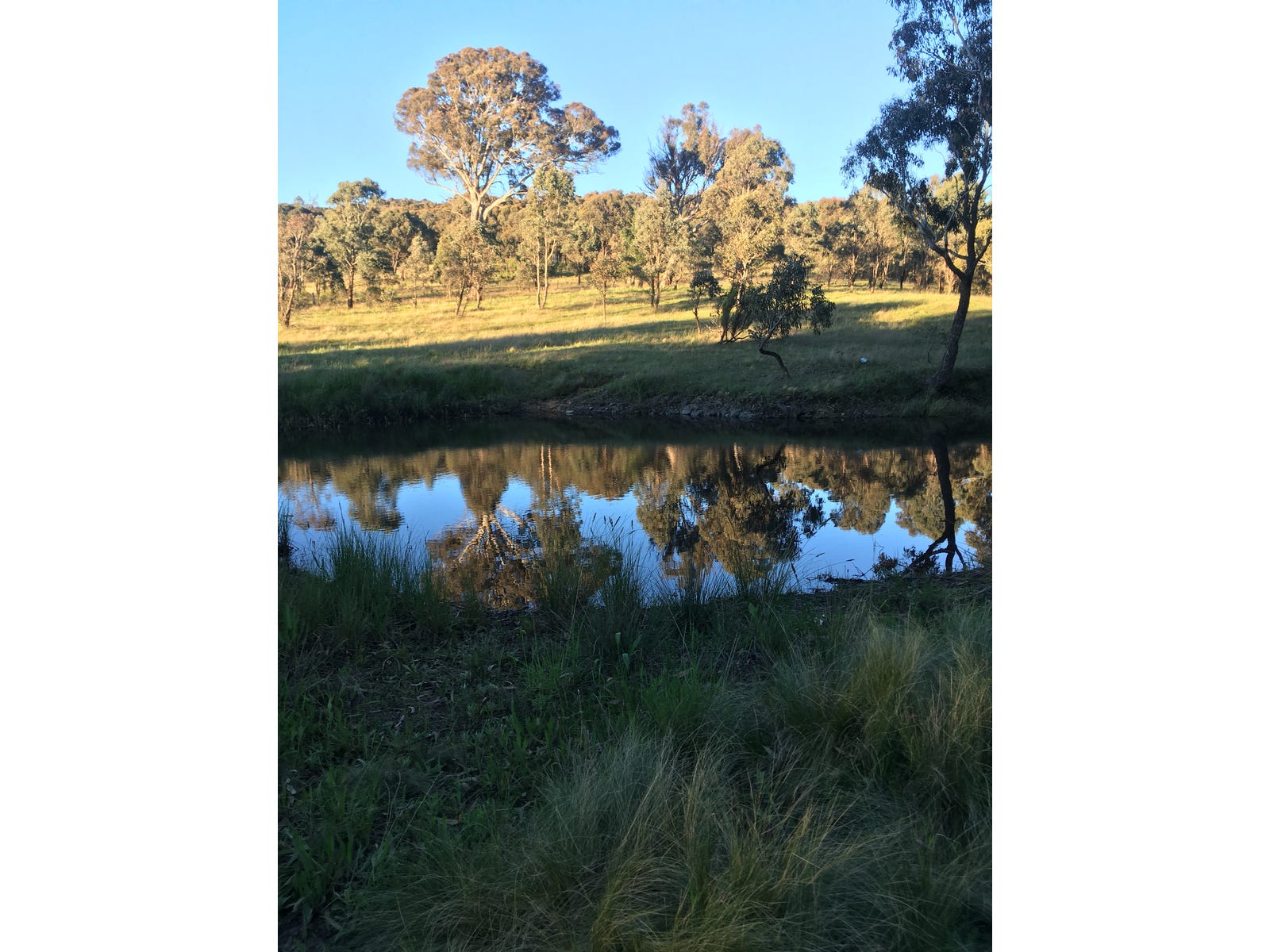 Rural Property for Sale: Gunning, NSW 2581