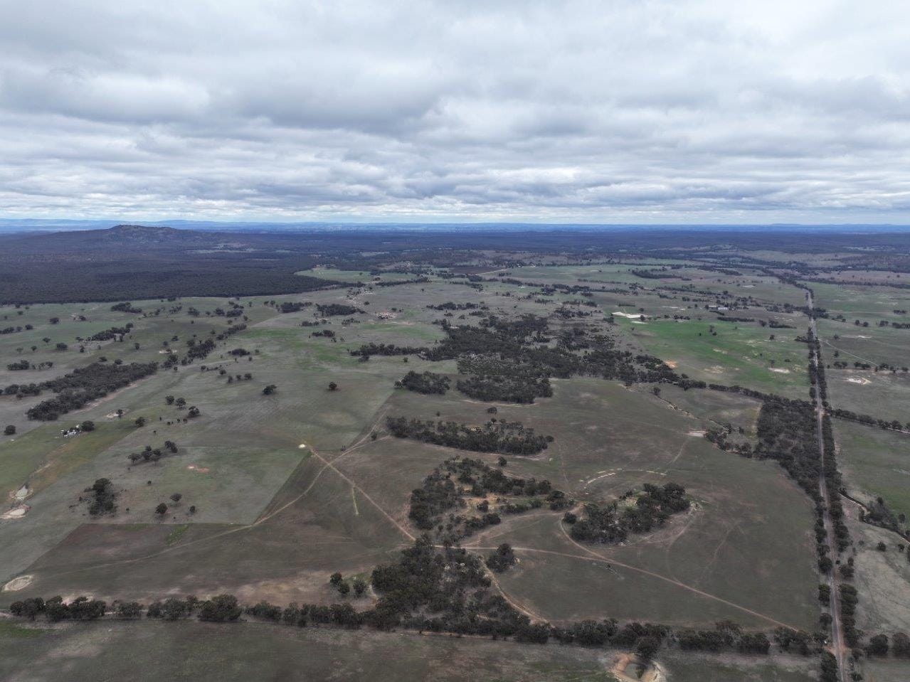 Rural Property for Sale: Murphys Creek, Vic 3551