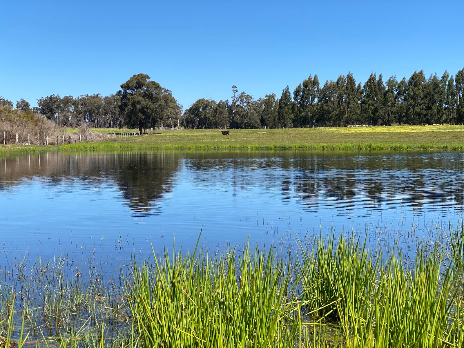 Rural Property For Sale Manjimup WA 6258