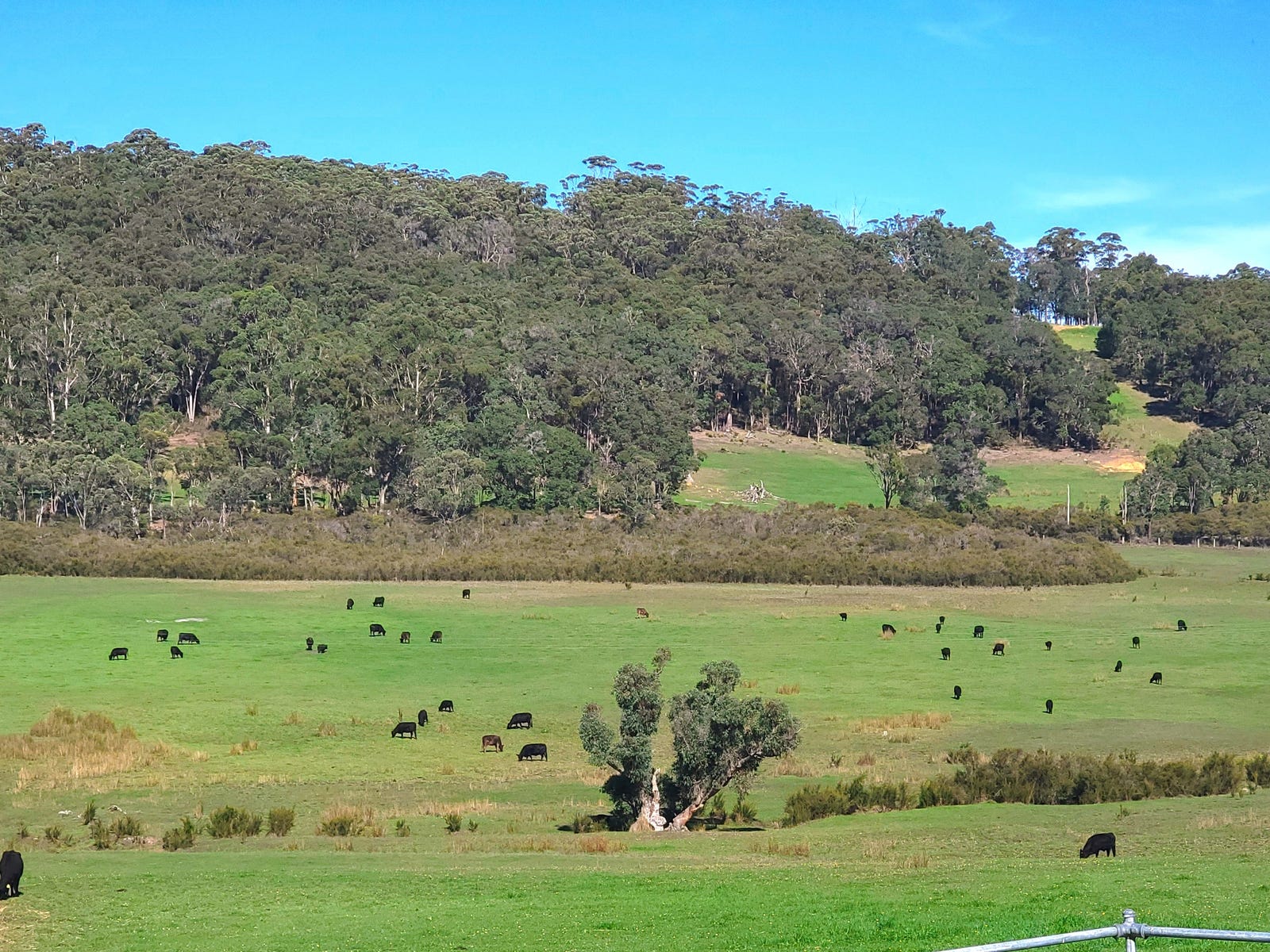 Rural Property for Sale: Tingledale, WA 6333