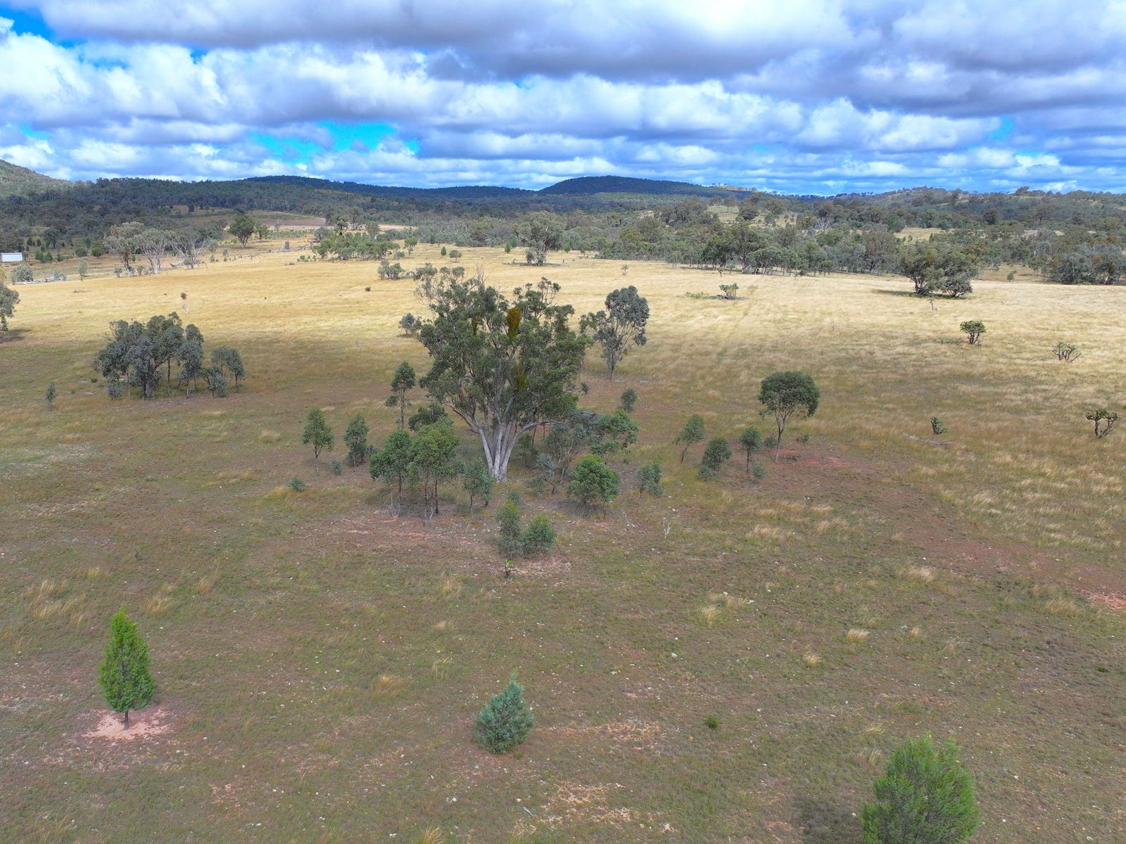 Rural Property for Sale: Terrica, Qld 4387