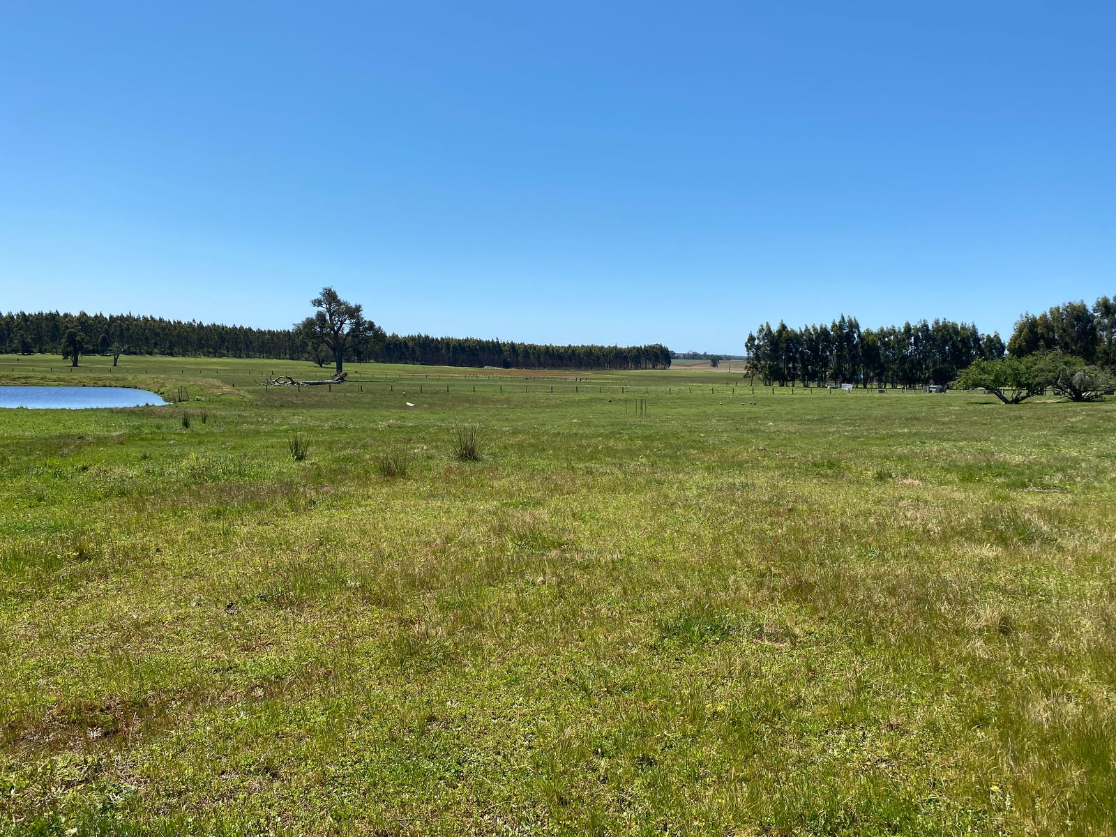 Rural Property For Sale Manjimup WA 6258