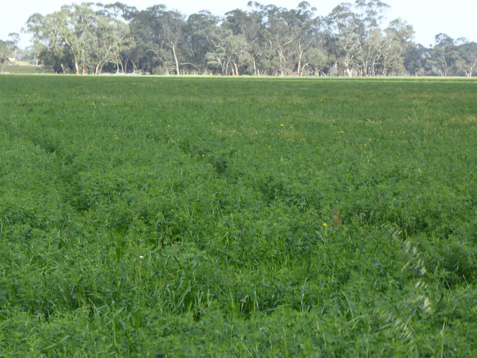 rural-properties-for-sale-in-sa