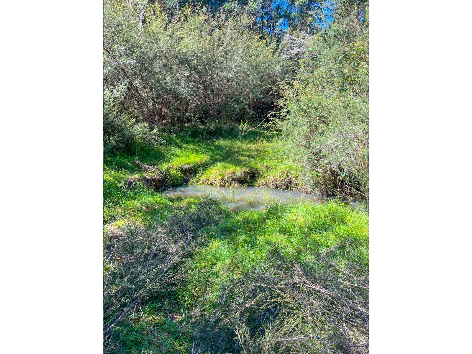 Rural Property for Sale: Stratford, Vic 3862