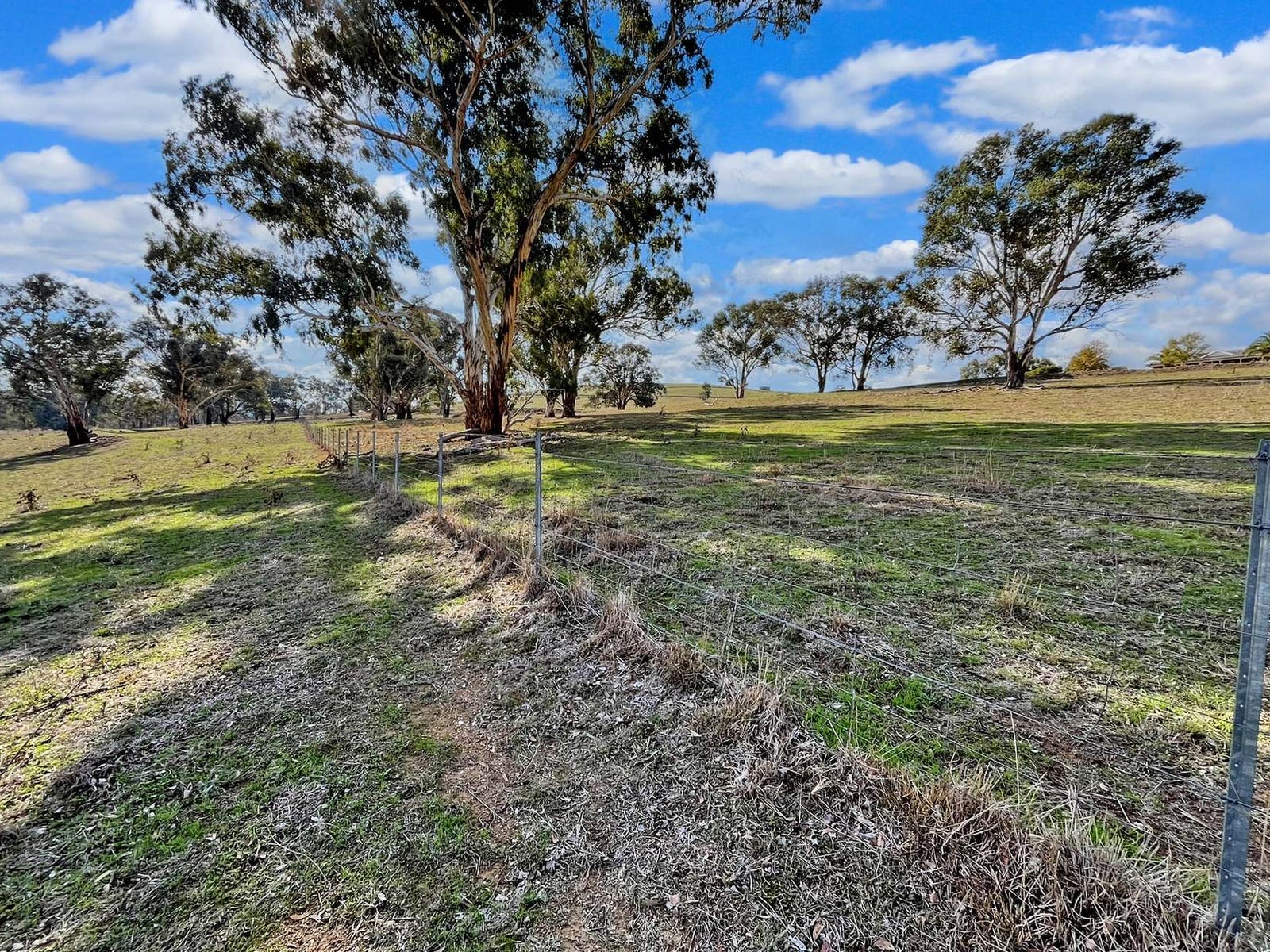 Rural Property for Sale: Cowra, NSW 2794