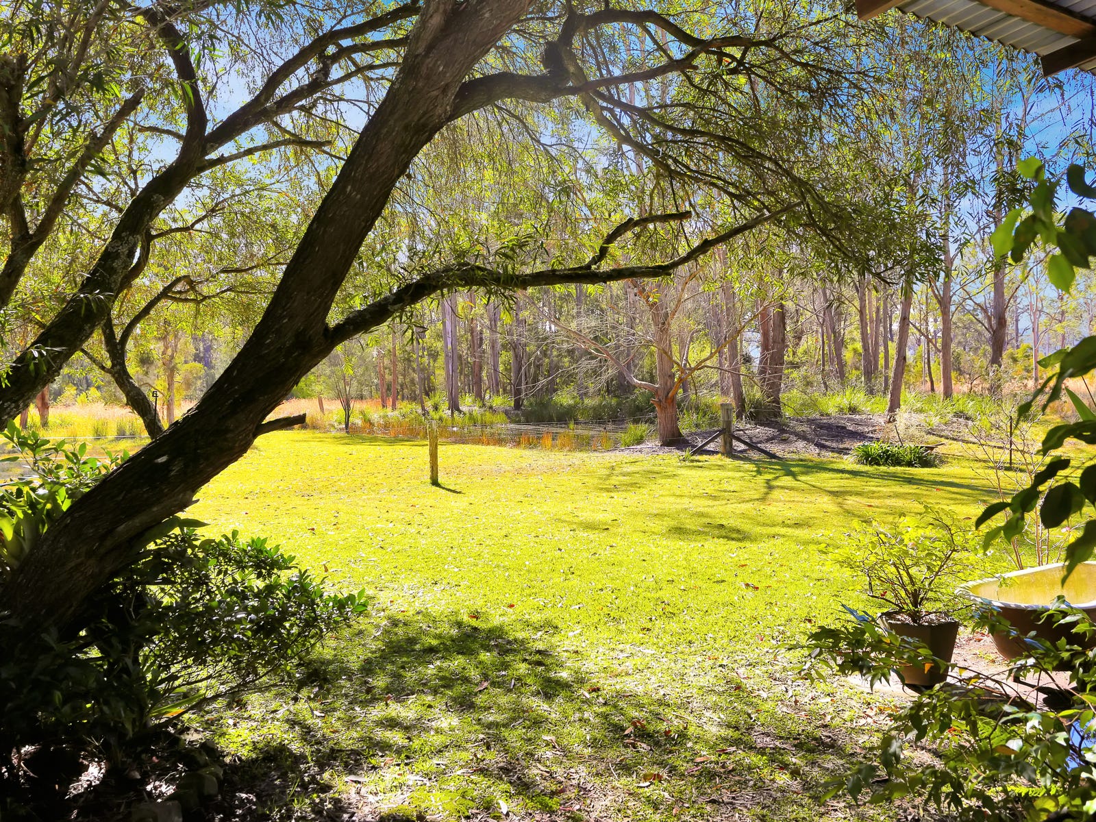 Rural Property for Sale: Bulahdelah, NSW 2423