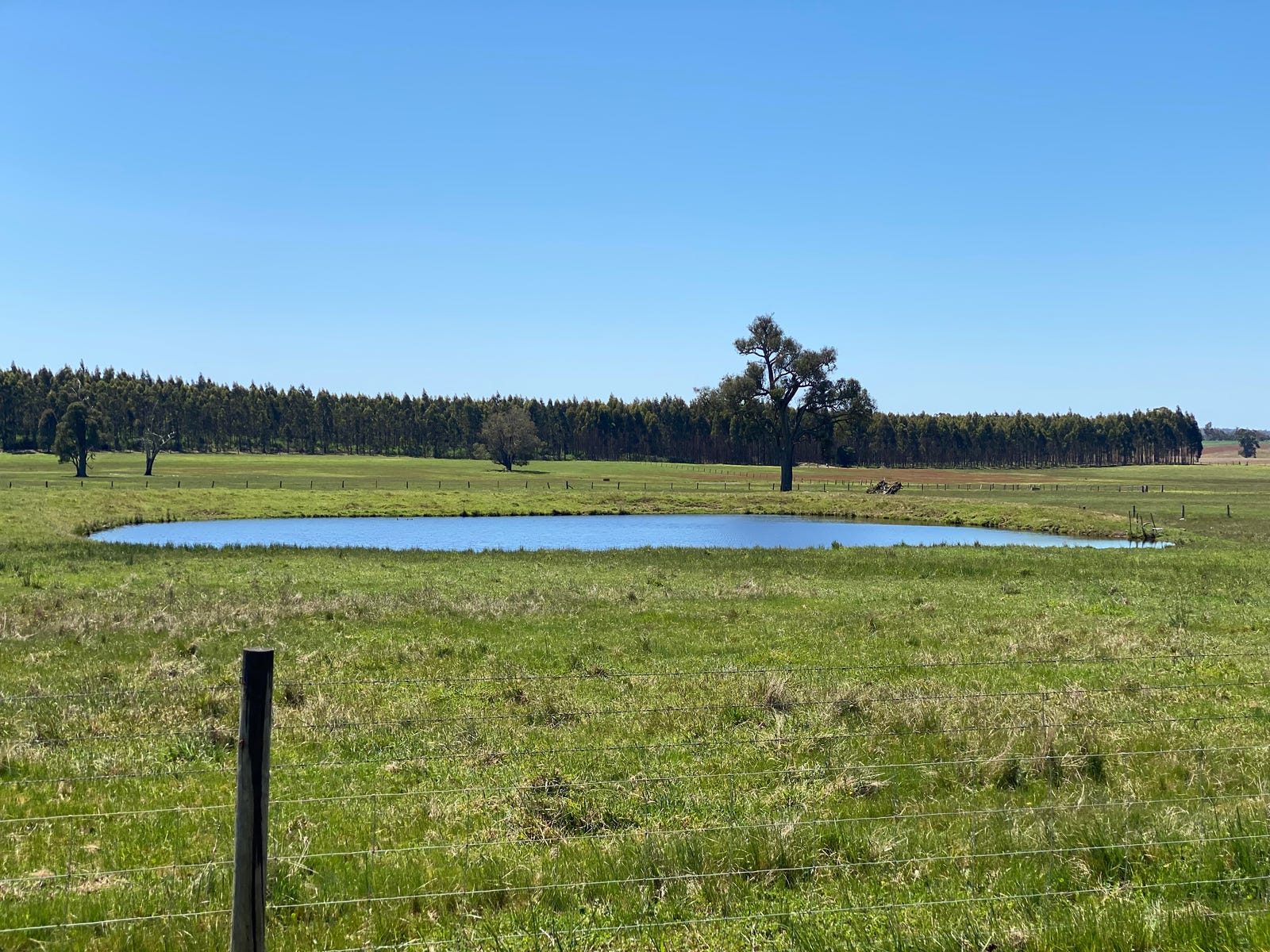 Rural Property For Sale Manjimup WA 6258
