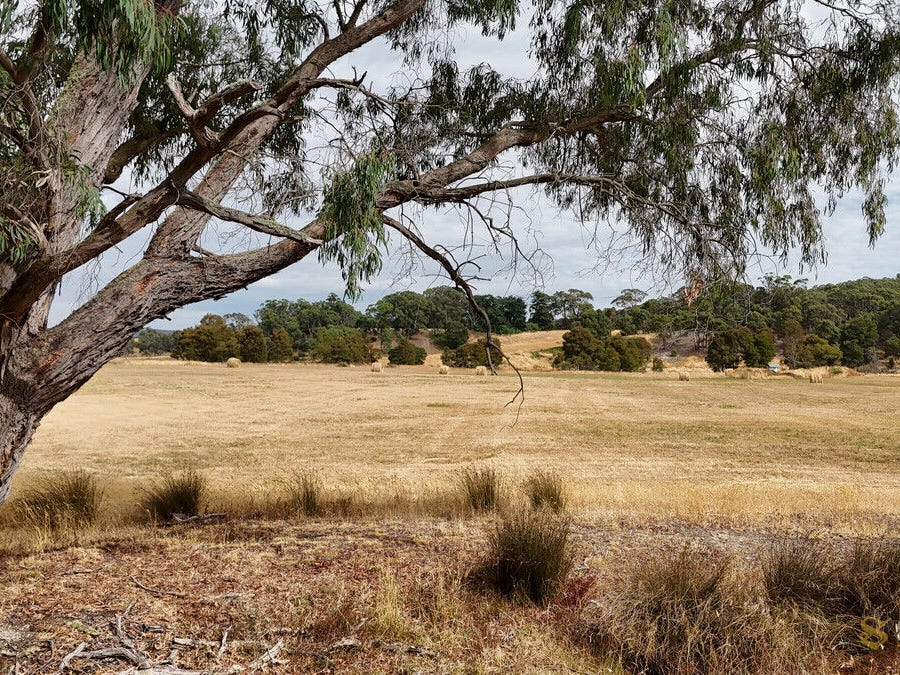 Rural Property For Sale Newtown Vic 3351
