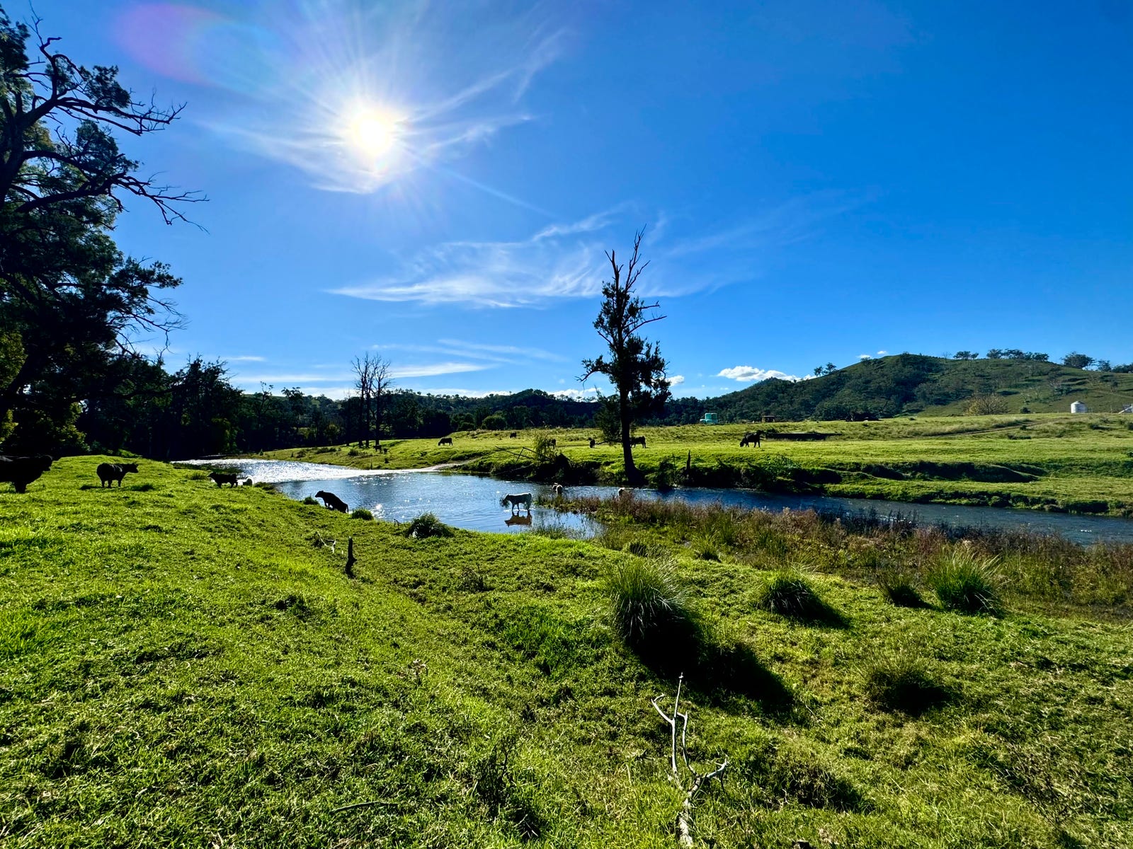 Moonan Sold Rural Property Moonan Flat NSW 2337