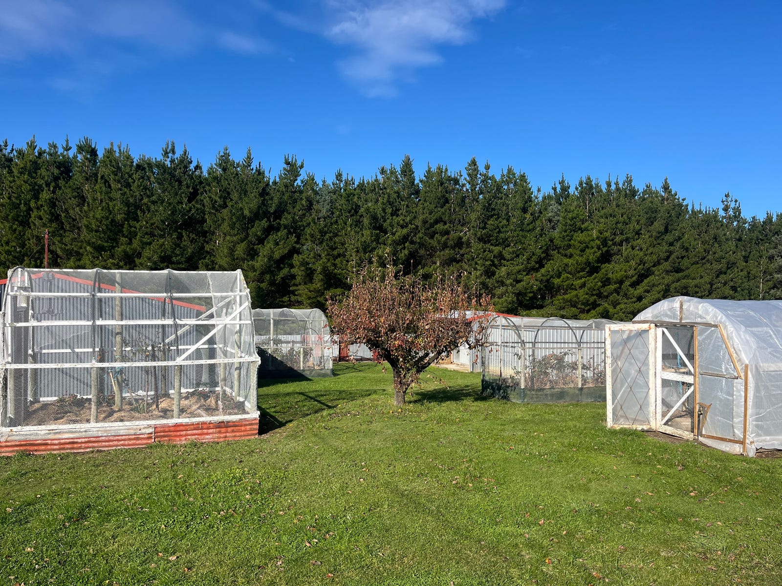 Rural Property for Sale: Wynyard, Tas 7325