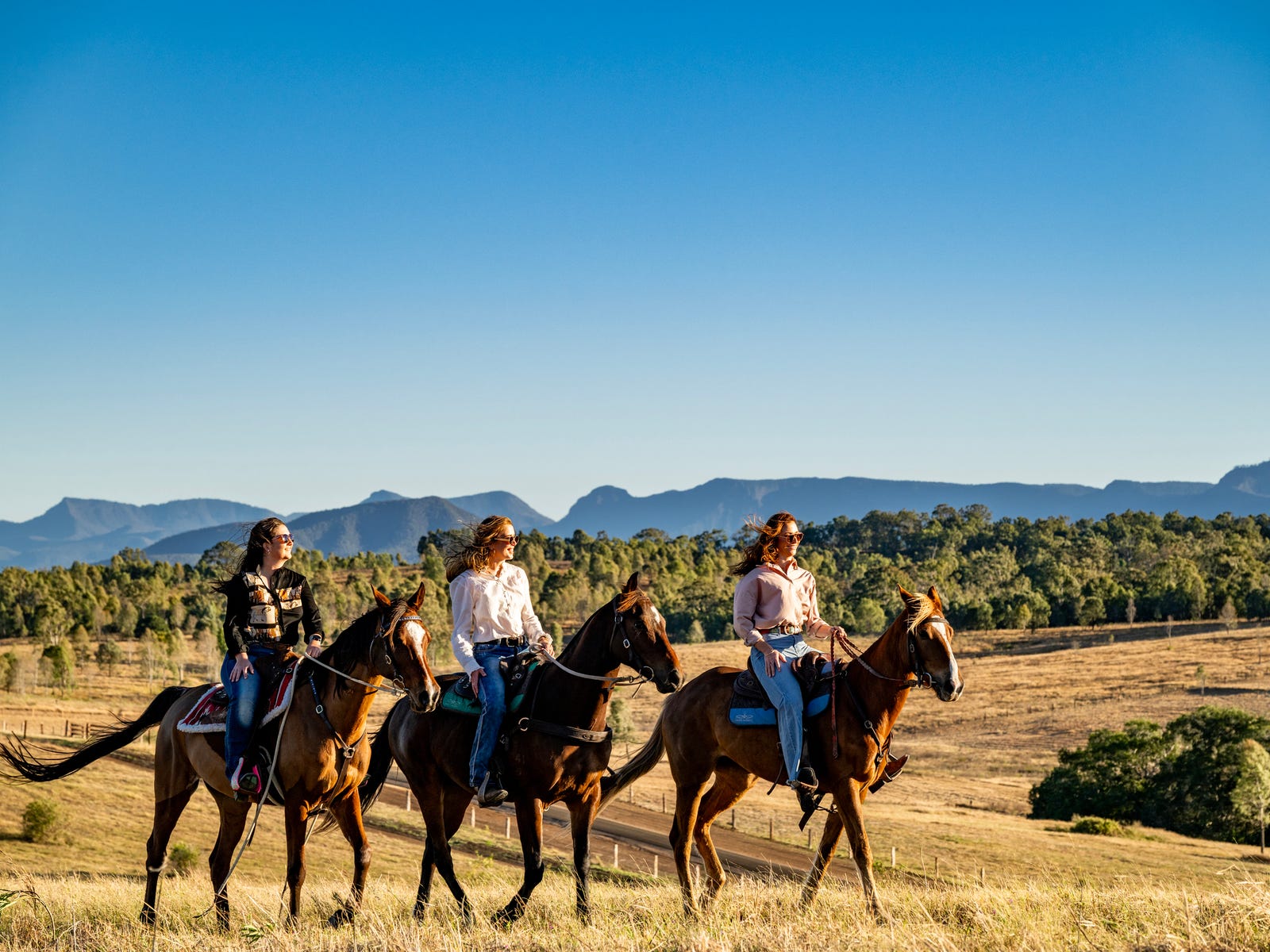 Rural Property sale - pColeyville, Qld 4307