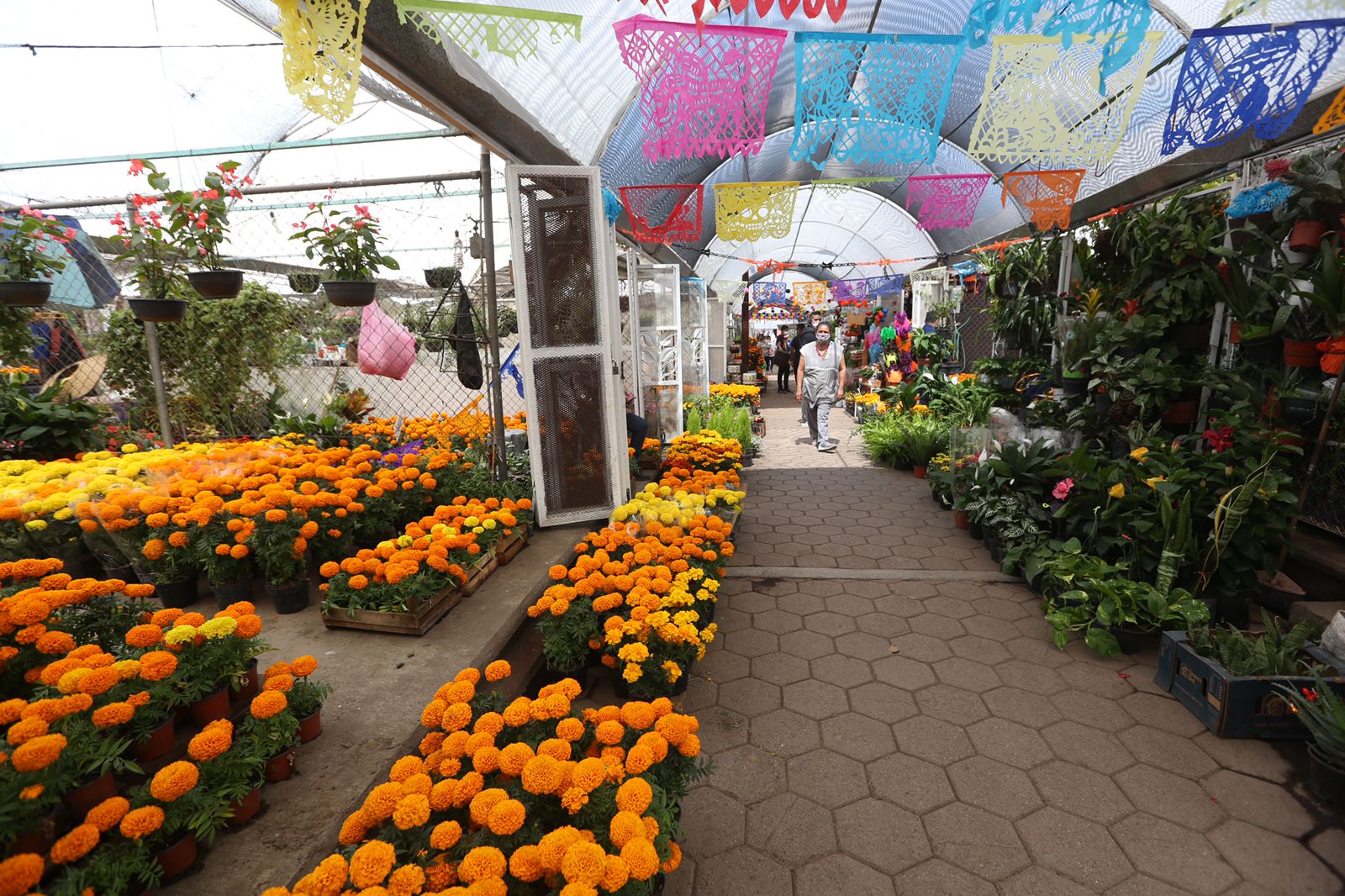 ESPERAN DERRAMA DE 100 MDP POR