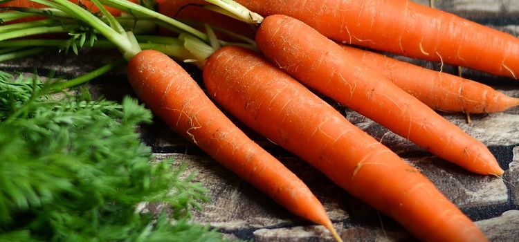 Carrots