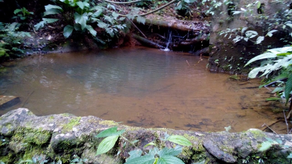 Rural / Sítio em Caucaia do Alto Cotia/SP e 32500.0m² Rural / Sítio em Caucaia do Alto Cotia/SP e 32500.0m²