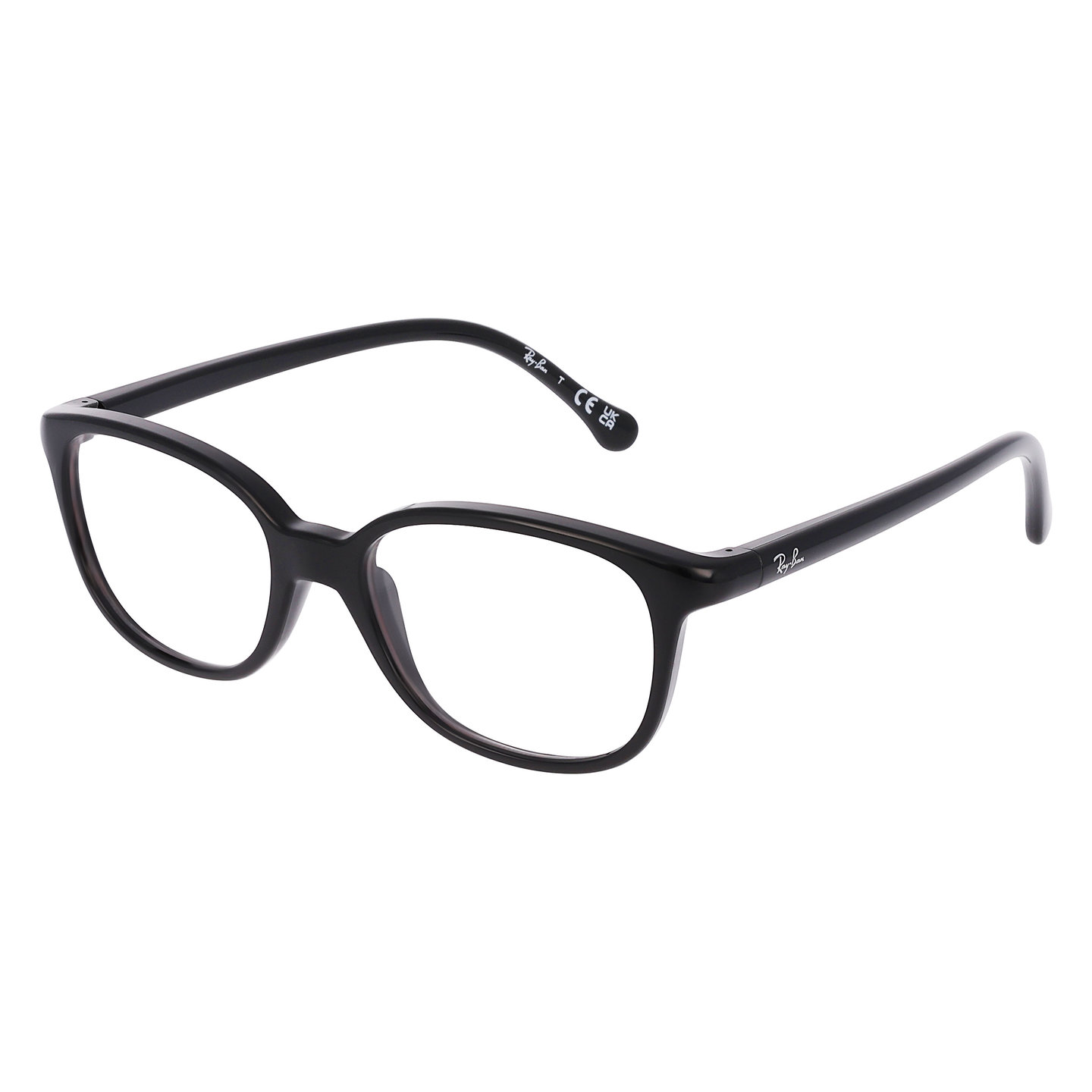Ray-Ban RY1900