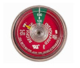 ABS WG100 Water Only Gauge