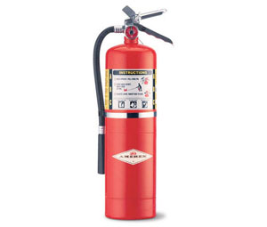 Amerex AX456 ABC Dry Chemical Fire Extinguisher - 10 lb w/Wall