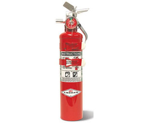Amerex DDPAX352TSC HALON 1211 Fire Extinguisher - 2 1/2 lb Chrome w/Dbl Strap Bracket - 5B:C