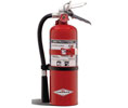 Amerex  AX479T Purple K Fire Extinguisher - 5 lb w/Vehicle Bracket - 30B:C