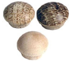 Smith Wood Products Ltd. SB38B-B-L5  Screw Hole Plugs, Mushroom Head, 3/8" Hole Size - Maple Species