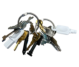 Blue Dog Keys BDDKS Dispenser Key Set - 16 Keys 