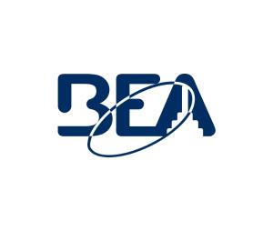 BEA Company 10T300MINIPB Mini 300Mhz Transmitter W/Flag